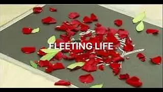FLEETING LIFE