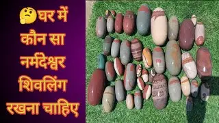 🤔घर में कौन सा नर्मदेश्वर शिवलिंग रखना चाहिए || best narmdeshwar Shivling for Home,Narmda shivling