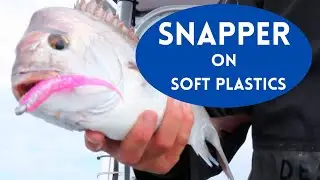SNAPPER FISHING   (SNAPPER ON BOARD).                                              fishing Australia