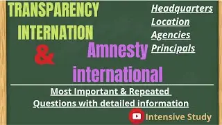 Transparency international and Amnesty | World Organizations | Intensive study