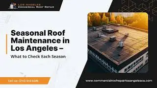 Seasonal Roof Maintenance in Los Angeles &ndash; What to Check Each Season