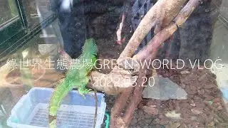 VLOG 新竹綠世界 綠世界生態農場GREEN-WORLD 生生物多樣性探索區Biodiversity Adventure Area｜三顧喵盧