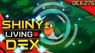 SHINY TAILLOW! Live Reaction! Quest For Shiny Living Dex #276 | Pokemon ORAS