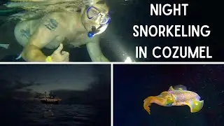 Night Snorkeling In Cozumel Mexico
