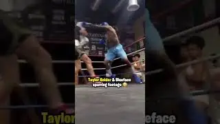 Taylor Holder and Blueface Sparring Footage