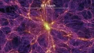 Dark matter distribution in our universe