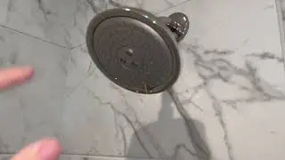 Product Review: Hansgrohe Raindance Shower Faucet Kit. The Best Shower I Have Ever Owned