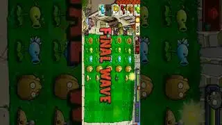HG pvz support need ep4