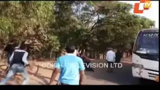 Bear Triggers Panic At VISA Steel Plant In Jajpur