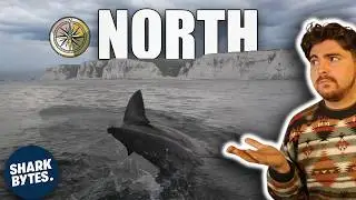 The Great White North Migration That's Happening Now!