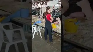italy dairy