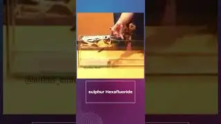 Aluminum foil floats on sulfur hexafluoride|Tamil science|anbu's mindHeavy gas| #tamilsciencechannel