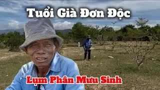 Tuổi Già Đơn Độc, Cụ Ông Nghèo Lặng Lẽ Lụm Phân Mưu Sinh #425