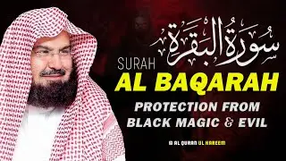 Surah Al Baqarah (سورة البقره)Full | Relaxing Quran Recitation for Stress Relief & Sleep