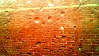 before ASMR was a thing. Heavy raindrops in Toronto