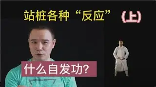站桩这9条“反应” 坚持下来的人都遇到了 粉丝问答（上）#太极拳