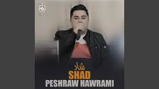 Shad