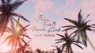 Grand Opening Weekend at Palm Tree Beach Club | Vegas' Newest Daylife Experience