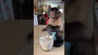 Lets make pancakes 