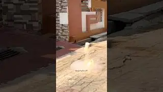 Desi Sutli Bomb Testing 💣 #diwali2024 #sutli_bomb #sutlibombexperiment #viralshorts #diwalishorts