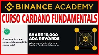 Curso Cardano Fundamentals ✅ Binance Academy 🔥 GANA Criptomonedas