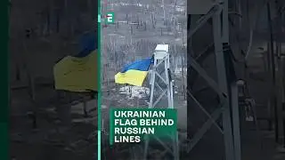 Blue and yellow FLAG waves behind Russian lines in Luhansk region#shorts