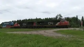 CN Train Spotting HD: P5 Action! | CN 5613 & 5704 Leads CN 198 East At Hargwen AB 6/15 6/30/14