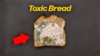 CAN YOU EAT MOLDY BREAD? A MICROSCOPY VIDEO.
