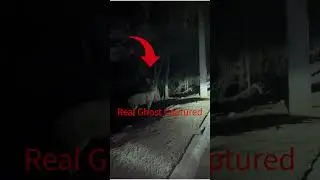 Real Ghost Reflected in Deer&rsquo;s Eyes &ndash; Paranormal Activity in Morni Hills Jungle 👀🌲 #shorts