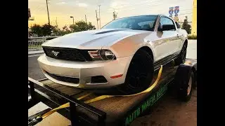 I BOUGHT A V6 3.7 L Mustang?!!?!