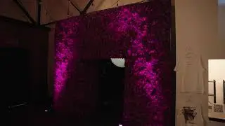 VITL Awards Show Highlight