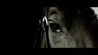 Alhambra Designs - Caballo Al-Andalus (Andalusian Horse)