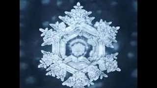 Dr. Masaru Emoto - Messages From Water