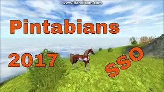 Pintabians of 2017 in Star Stable Online-SSO