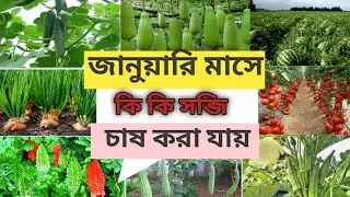 জানুয়ারি মাসে কোন কোন সব্জি ফসলের চাষ করবেন সম্পূর্ণ গাইড। January mase sbji chas. 