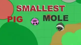 Mope.io - Smallest Animal ( Pig / Mole ) Update *