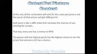 Dog Photo Contest