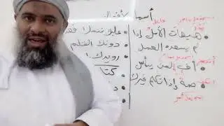 ١٢ شرح كتاب النحو الواضح للمرحلة الثانوية - أسماء الأفعال