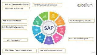 Presentaci&oacute;n SAP PaPM (ERM) - Excelium Reference Model