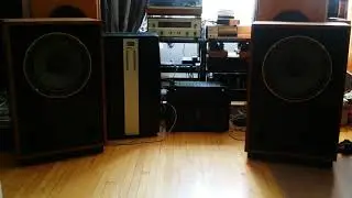 Tannoy Berkeley Mark Levinson 23.5 Midnight Sugar