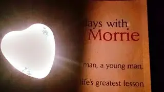 Tuesdays with Morrie by Mitch Albom | #viral #books #trending #video #views #millionviews #reading