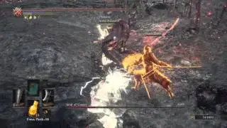 DARK SOULS&trade; III - Soul of Cinder co-op boss fight (NG+ )