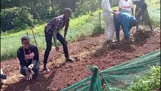 Scout Rovers Prepare Seedbed for Tree Planting 🌱🤖