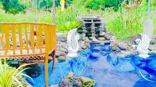 MERIKE Farm  TOUR   #farming  #farm  #bohol #philippines