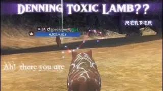 Denning Toxic lamb?? ~ 尺乇卂ㄗ乇尺
