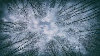 2021 Winter Timelapse
