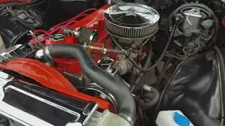 Chevy 250 inline 6 view 1975