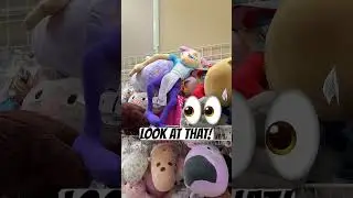This Thrift Store is a GOLDMINE for Hidden Gems!