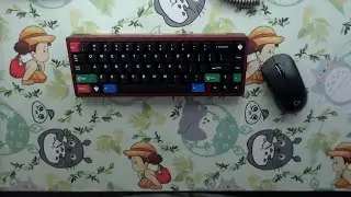 SINGAKBD Kohaku with lubed Gateron Cream Sodas + Creampaca spacebar Typing Sounds