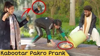 Grab My Pigeon Prank | Prank in Pakistan